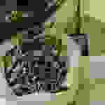 an9