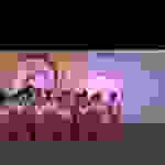 an9