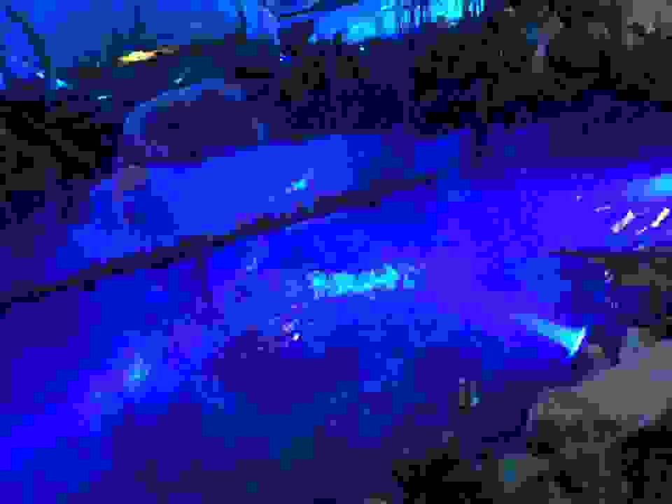 but1