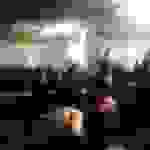dim3