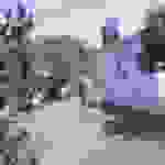 kat1