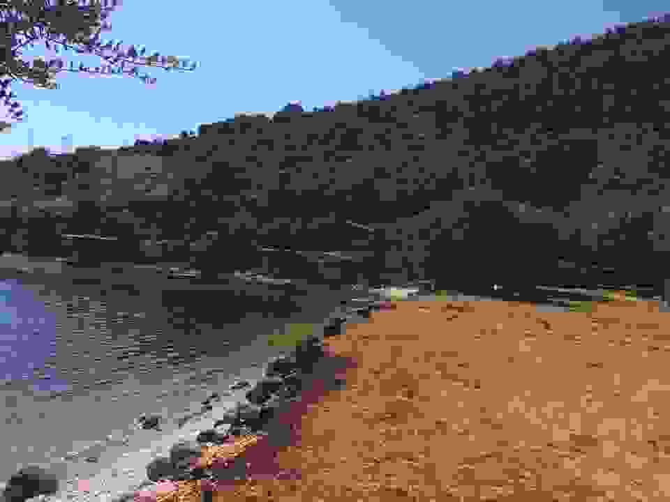 kom13