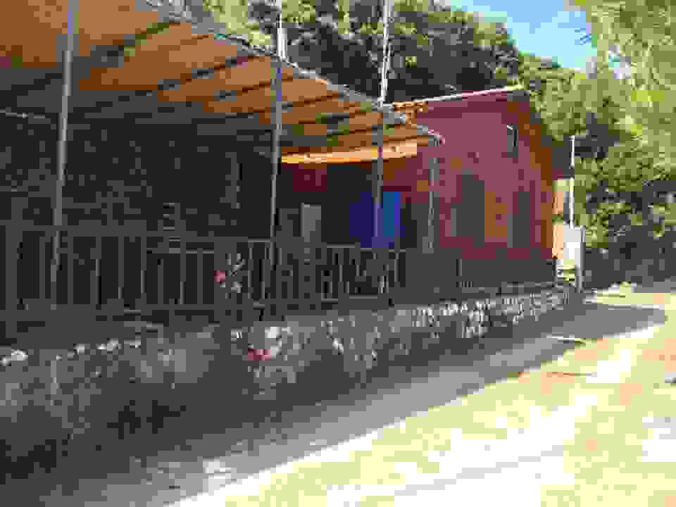 kom19