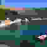 kom20