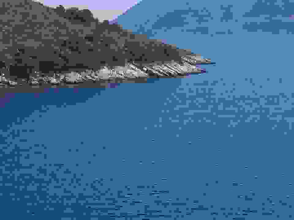 kom23