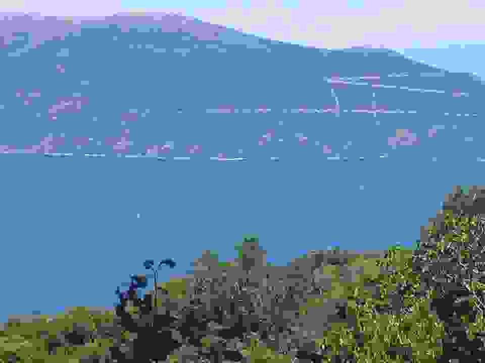 kom3