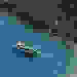 kom6