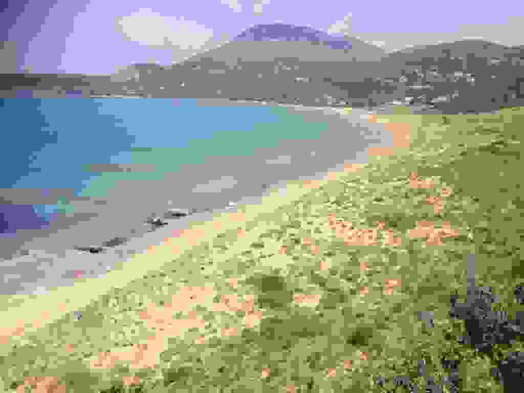 mun