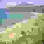 mun
