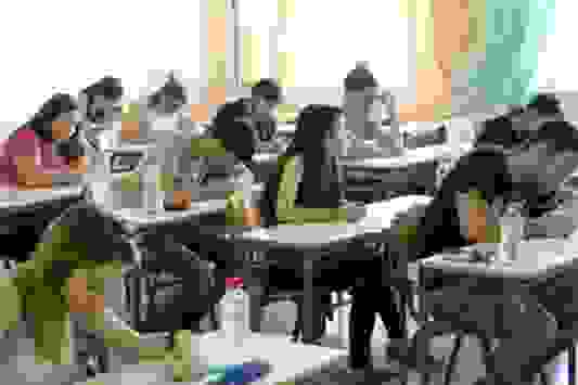 Panellinies DeltioA 533 355