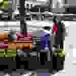 pla3
