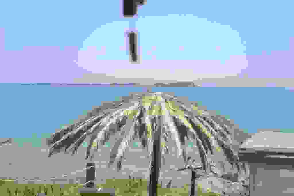 pu
