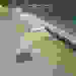 sam10