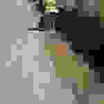 sam1