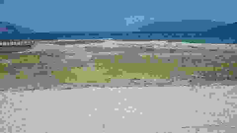 sam11