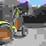 sam11