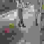 sam12