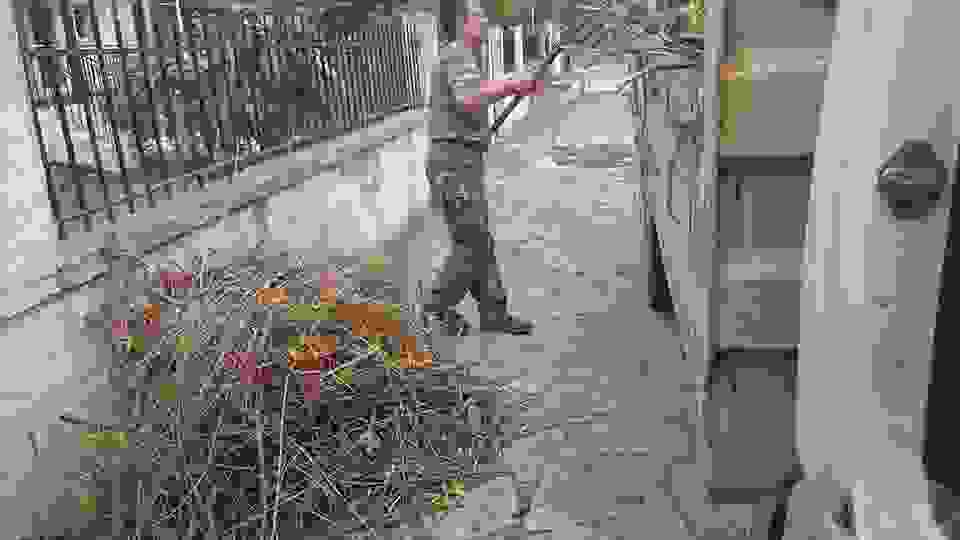 sam12