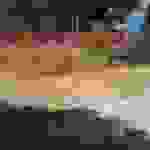 sam15