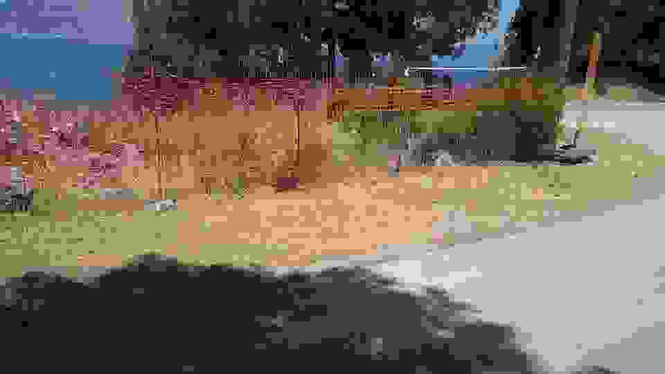 sam15