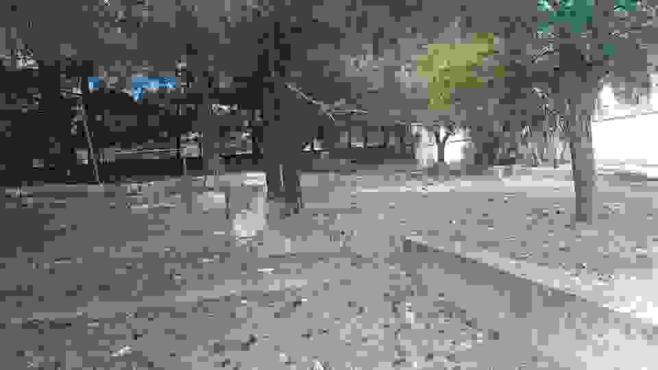 sam16