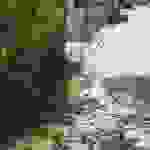 sam17