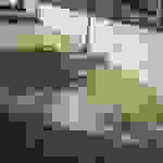 sam2