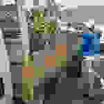 sam