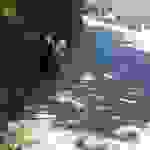sam2