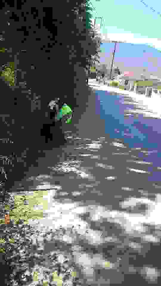 sam2