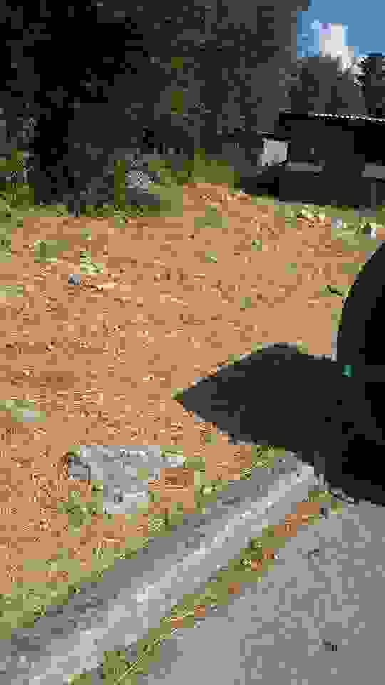 sam2