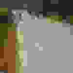 sam2