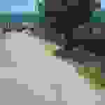sam3