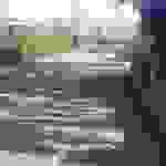 sam3