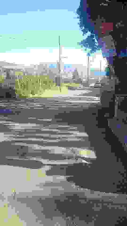 Sam3