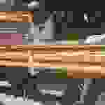 sam3