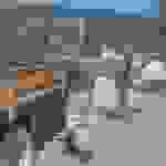 sam3