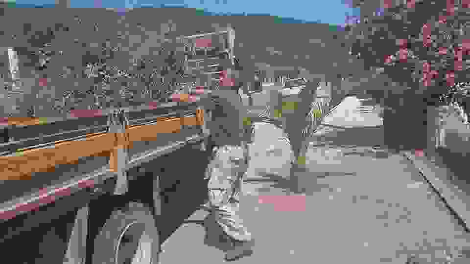 sam3