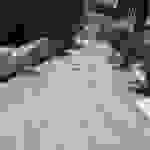 sam4