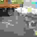 sam5