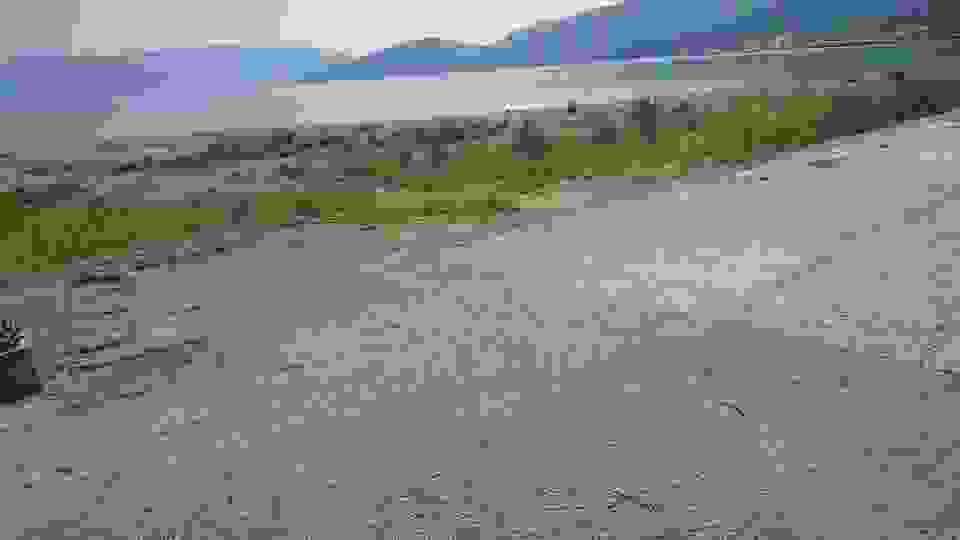 sam5