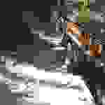sam6