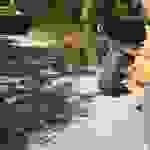 sam6