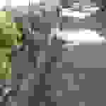 sam6
