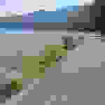 sam6