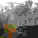 sam6