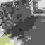sam7