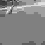 sam8