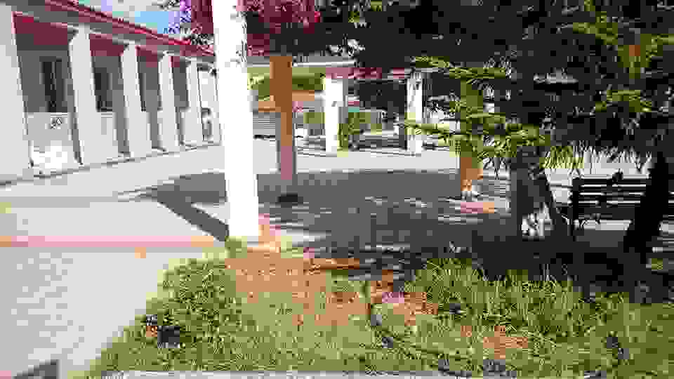 sam8