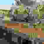 sam8
